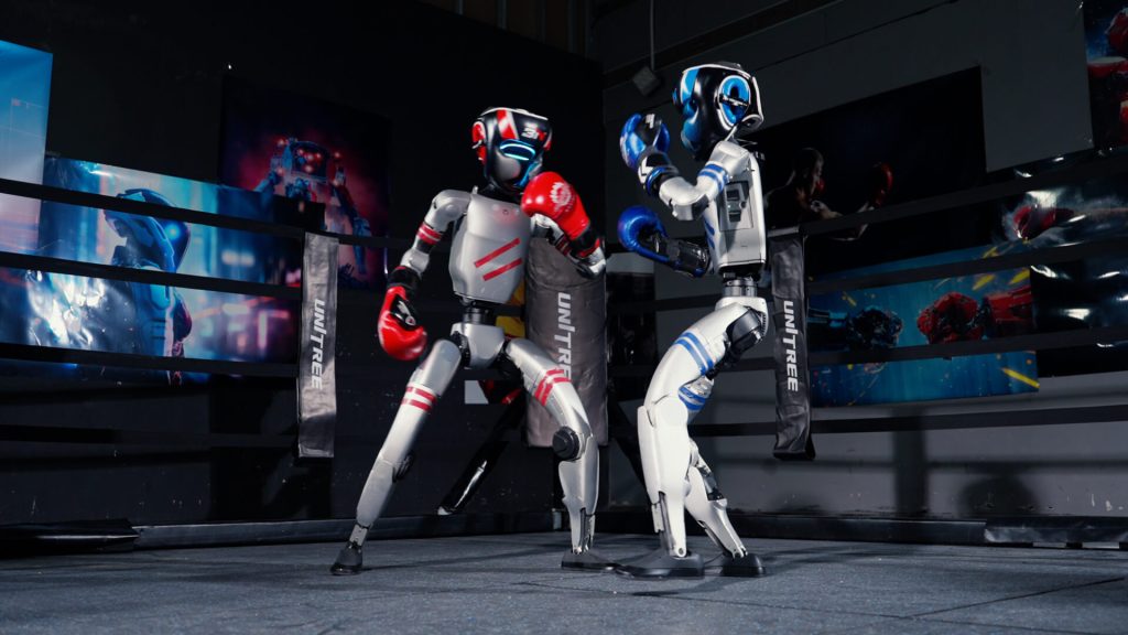 Humanoid Boxing Match