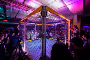 Ultimate Fighting Bots Cage Fighting