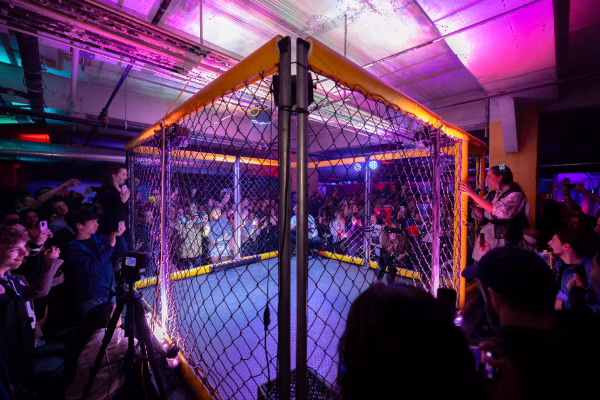 Ultimate Fighting Bots Cage Fighting