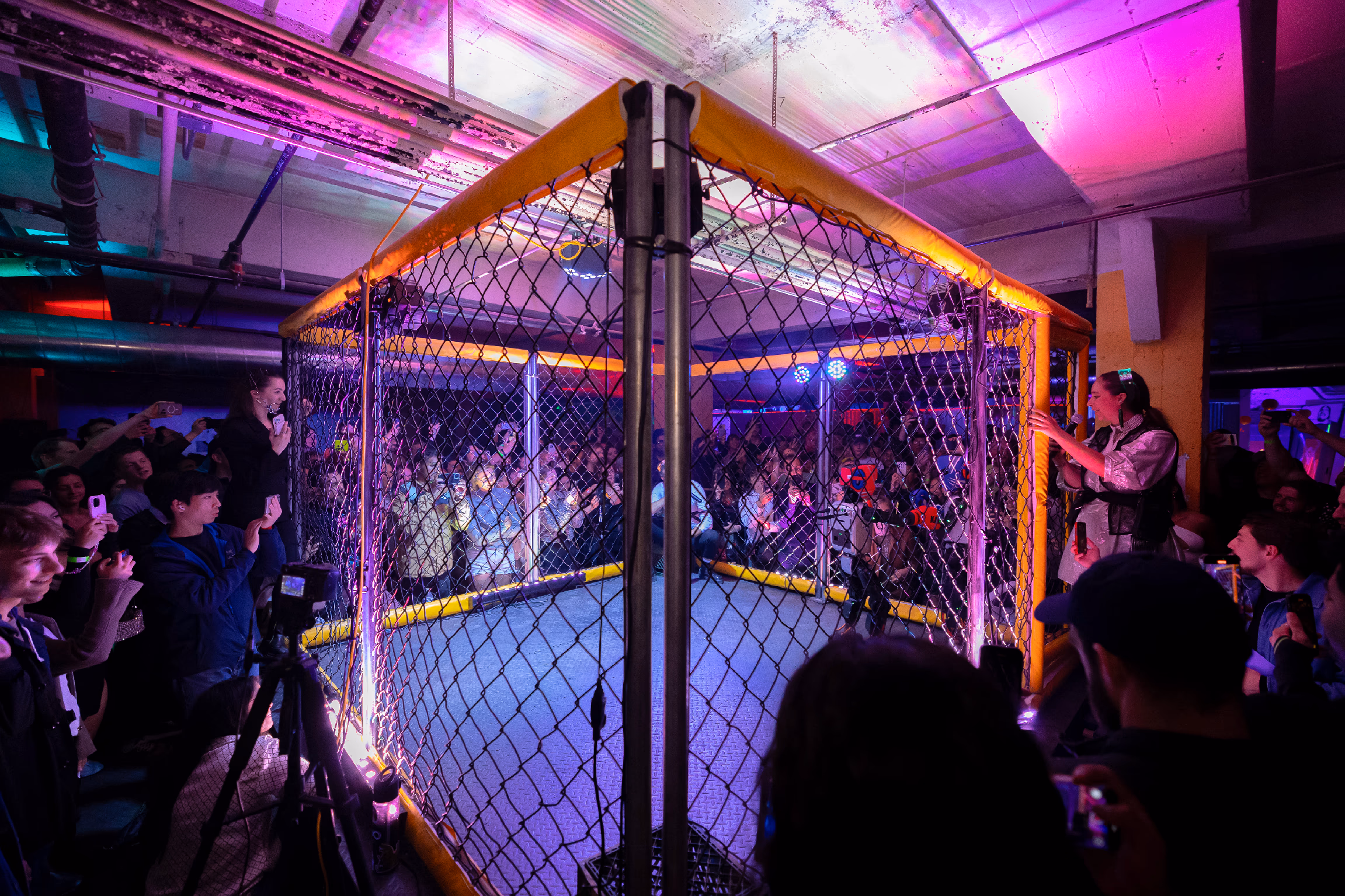 Ultimate Fighting Bots Cage Fighting